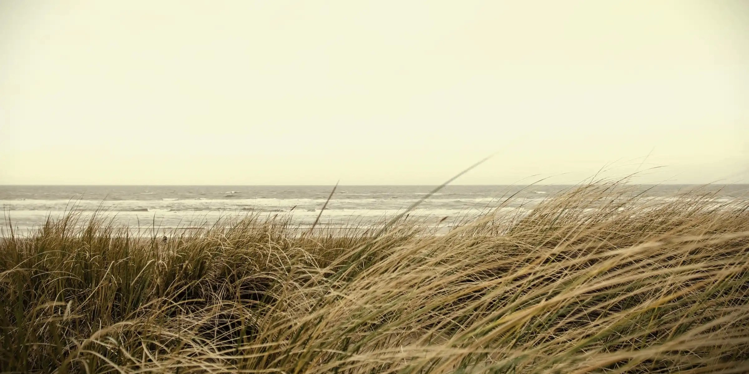 un bord de mer en bretagne
