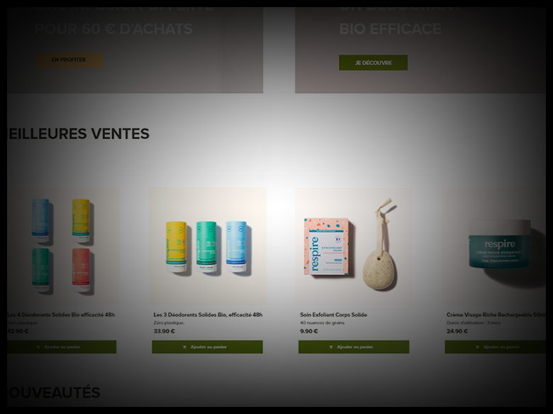 Capture d'écran d'une reproduction de site de vente en ligne